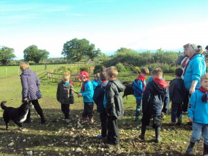 Beavers at Hall Farm 004